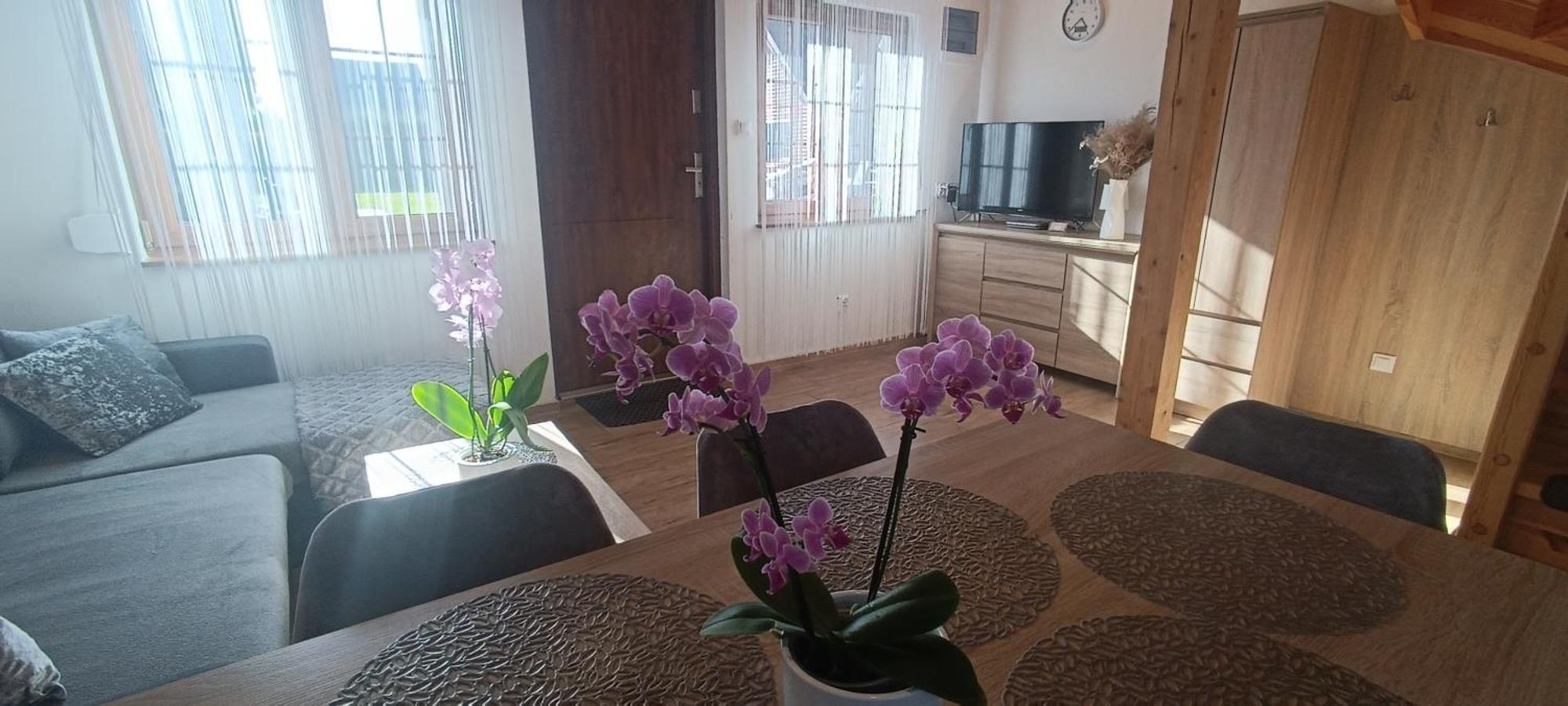 Villa Diament Rogowo Rogowo  Esterno foto