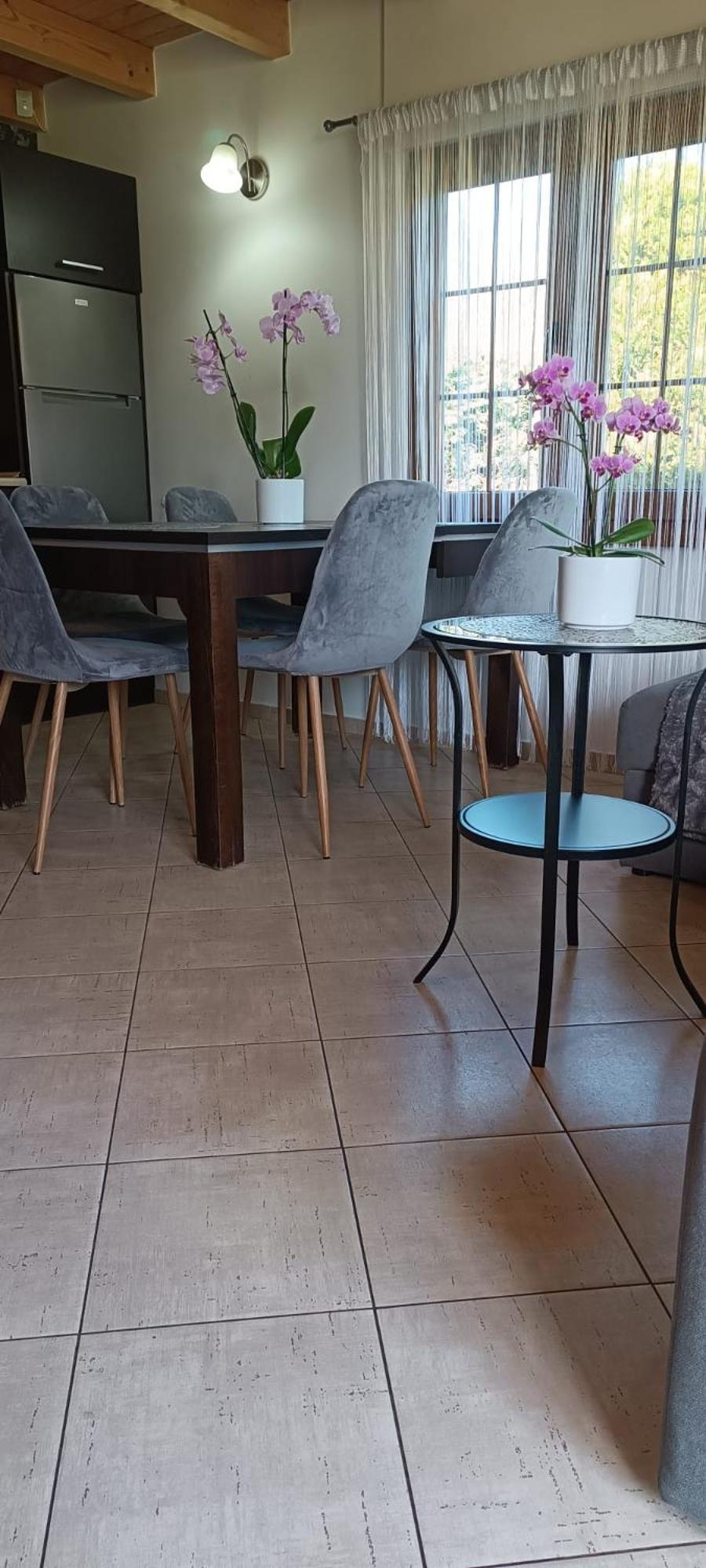 Villa Diament Rogowo Rogowo  Esterno foto