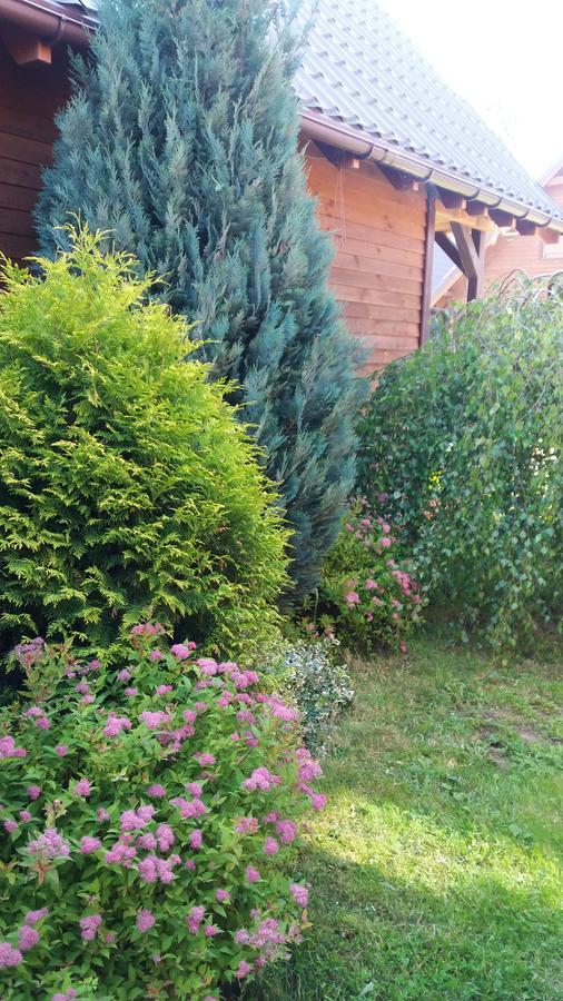 Villa Diament Rogowo Rogowo  Esterno foto